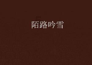悬崖跳水运动